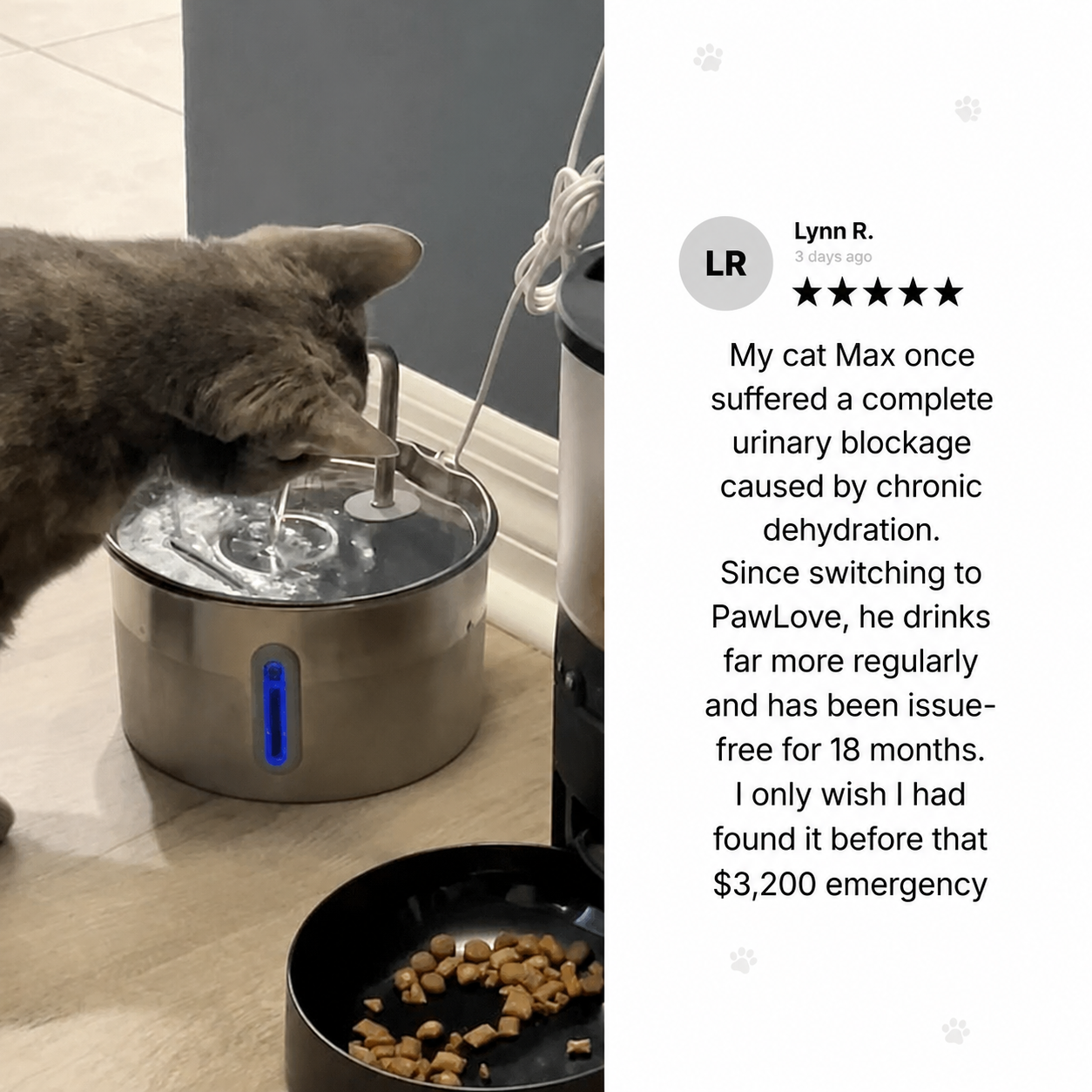 Smart Stainless Steel Cat & Dog Water Dispenser