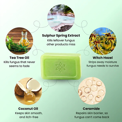 Handmade Tea Tree Skin Cleansing Soap