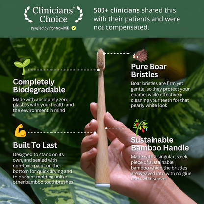 Premium Bamboo Toothbrush with Natural Bristles
